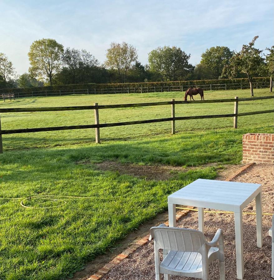 La Longere Du Haras Lejlighed Manerbe Eksteriør billede