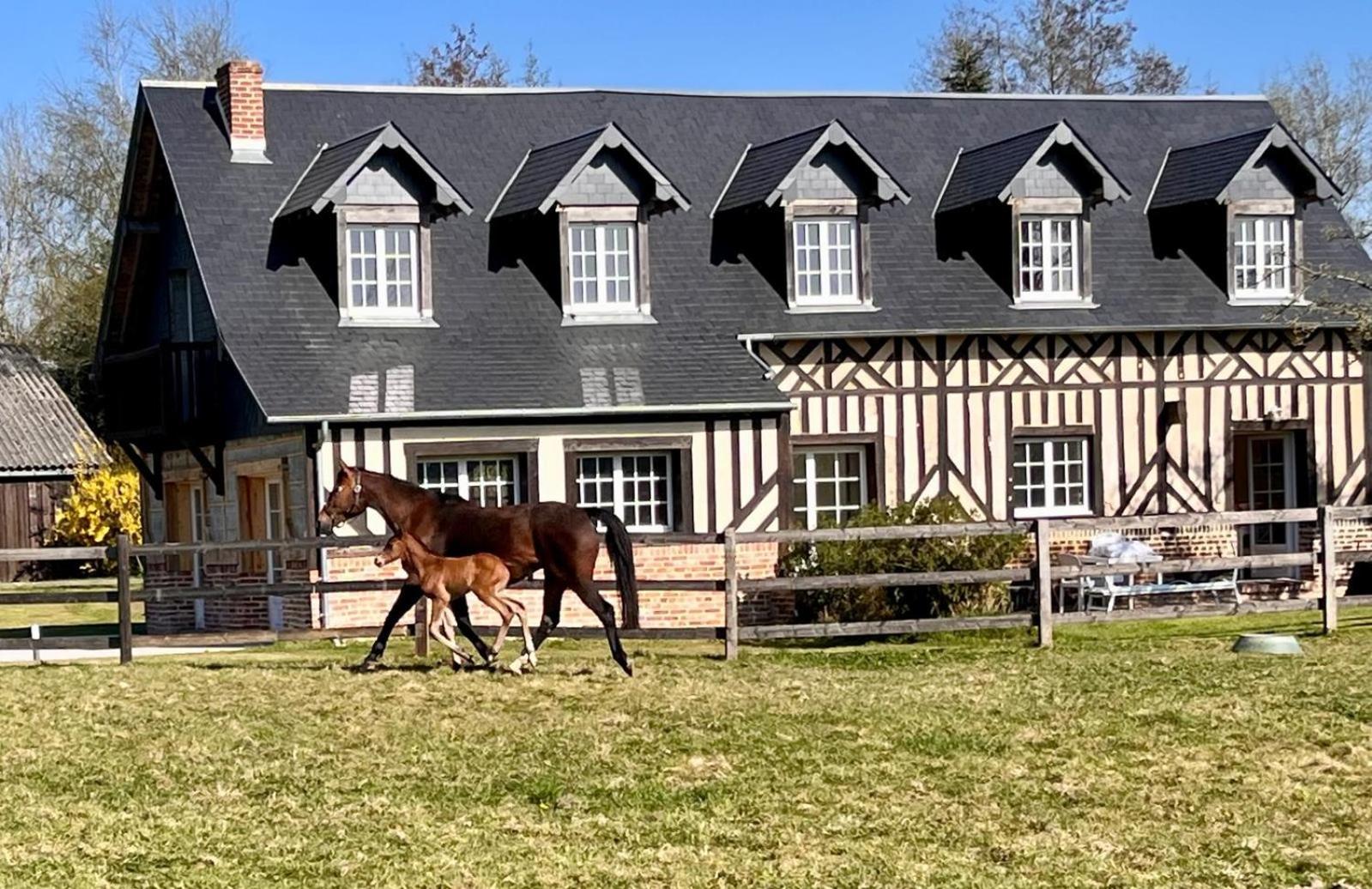 La Longere Du Haras Lejlighed Manerbe Eksteriør billede